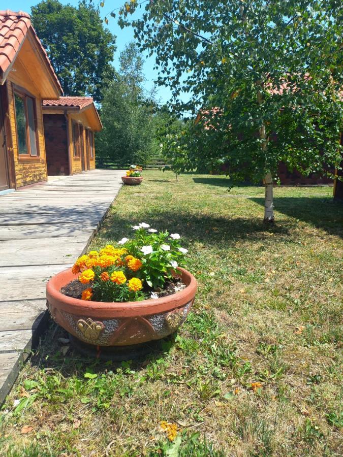 Вилно Селище Мировец Maluk Izvor  Eksteriør bilde